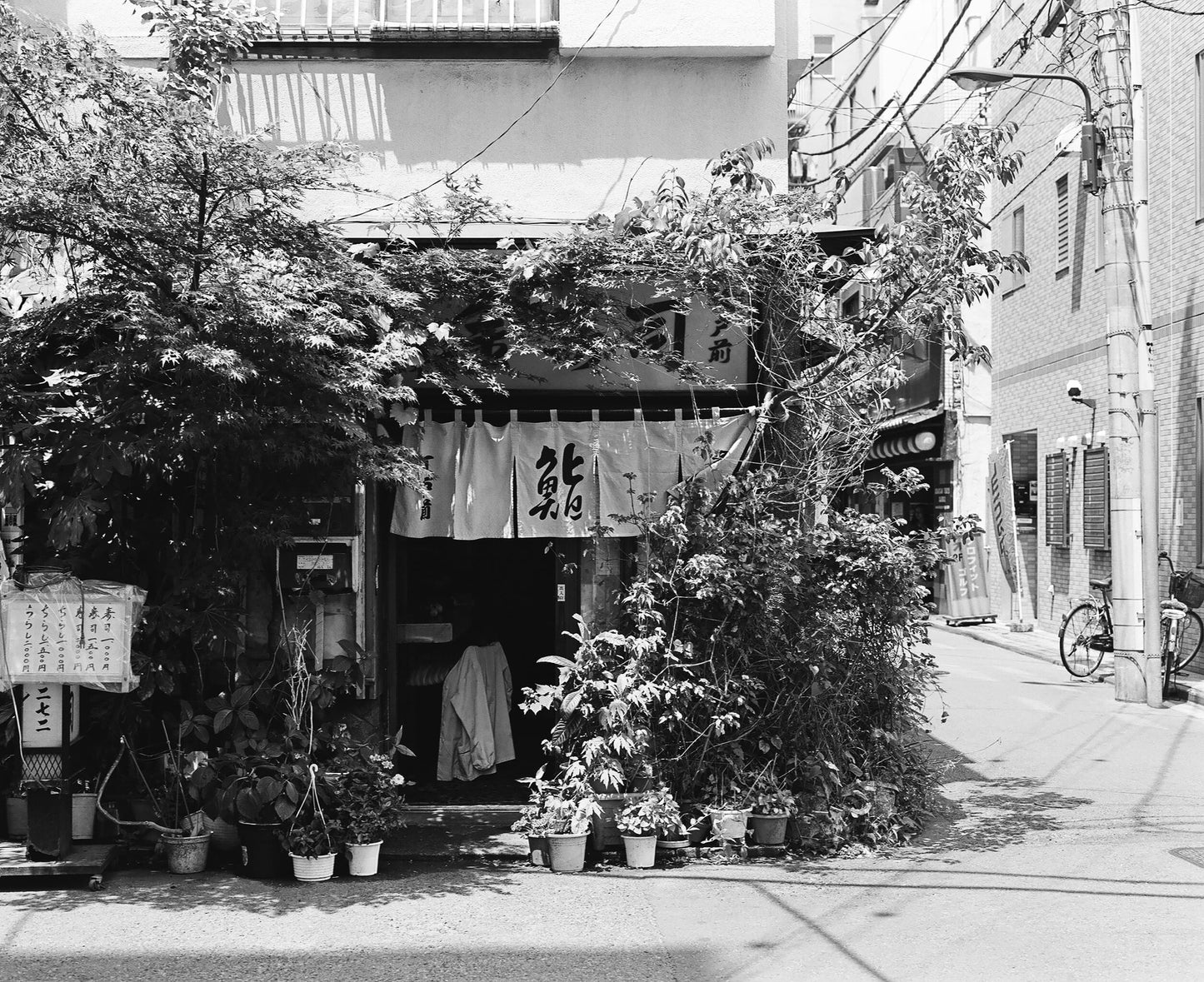Kodak 白黒ネガフィルム トライ-X400 35mm 24枚撮 5本セット