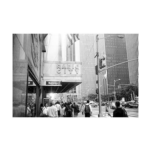 FOMA FOMAPAN100 白黒ネガフィルム 120 420112