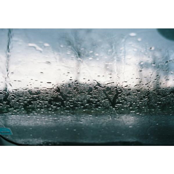 CatLABS カラーネガティブフィルム X FILM 100 120 2本セット