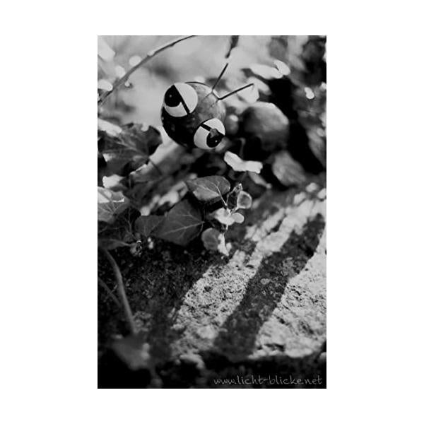 ORWO UN54 ISO100 黒白ネガティブフィルム 35mm 36枚撮