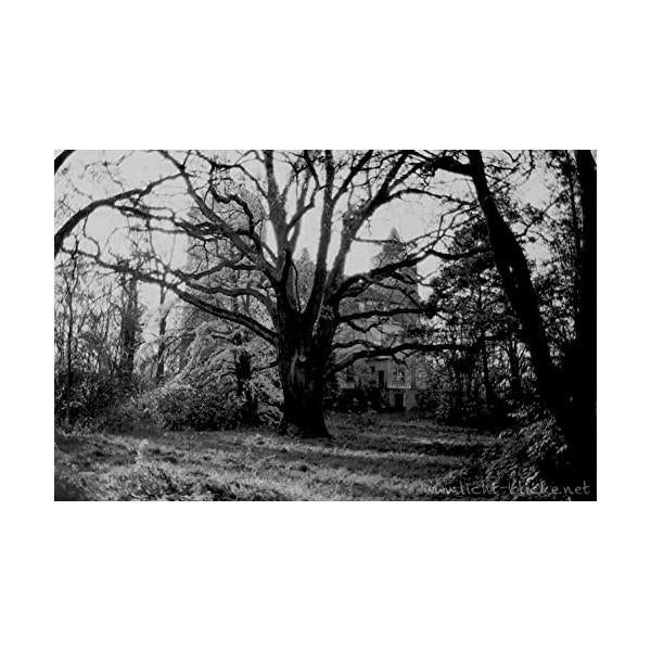 ORWO UN54 ISO100 黒白ネガティブフィルム 35mm 36枚撮 10本セット