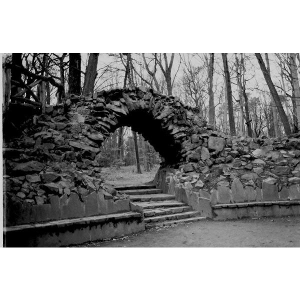 ORWO NP100 ISO100 黒白ネガティブフィルム 35mm 36枚撮 10本セット