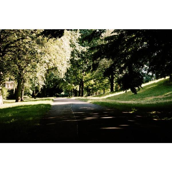 ORWO WOLFEN NC500 ISO400 カラーネガティブフィルム 35mm 36枚撮 5本セット