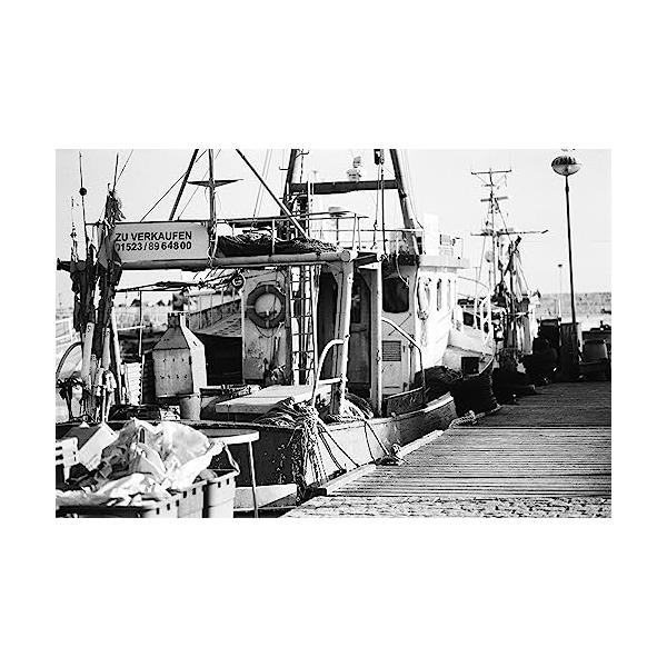 ORWO NP100 ISO100 黒白ネガティブフィルム 35mm 36枚撮