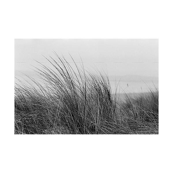 ORWO NP100 ISO100 黒白ネガティブフィルム 35mm 36枚撮