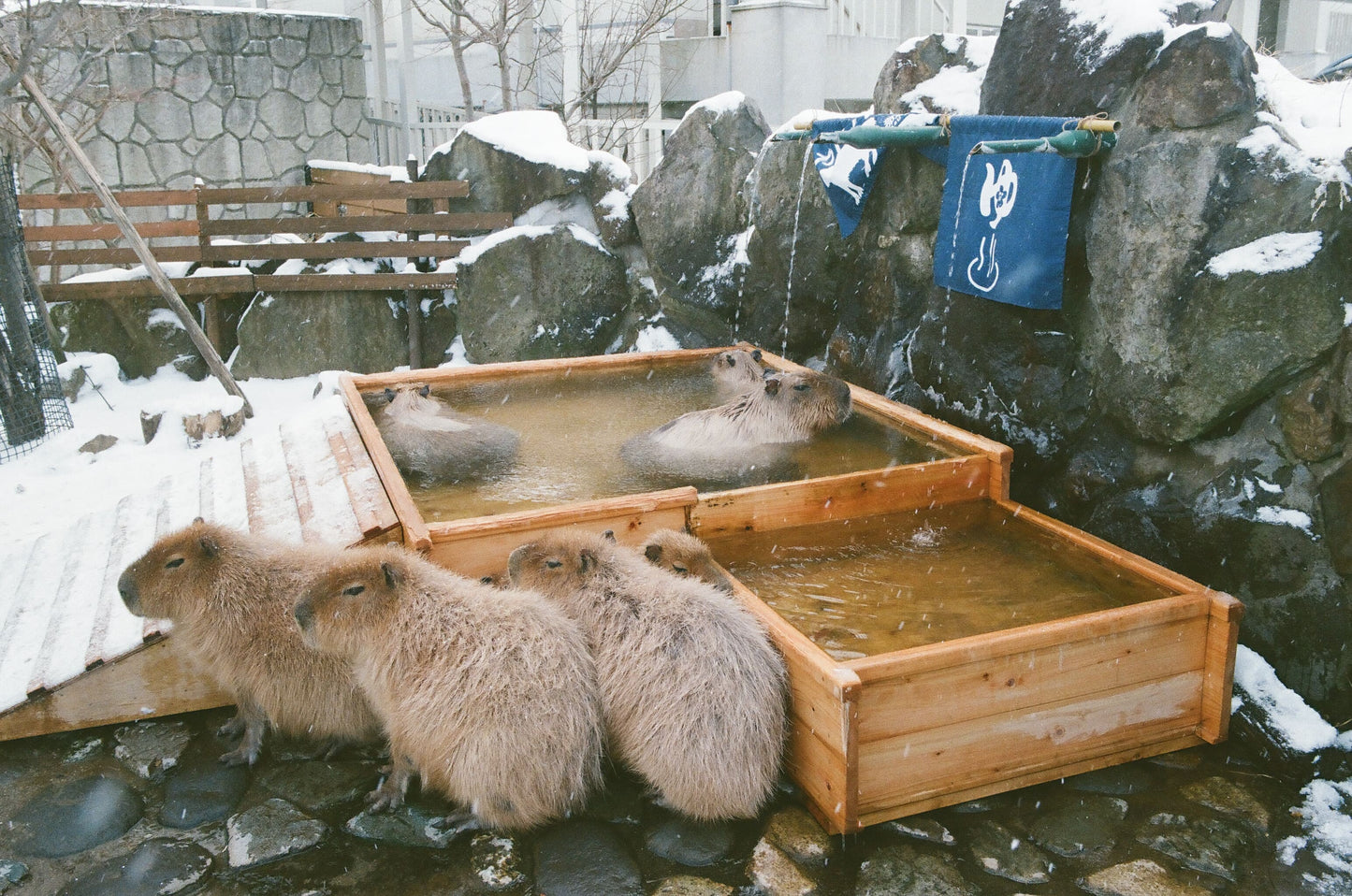 Kodak カラーネガフィルム ULTRAMAX 400 35mm 36枚撮 6034060