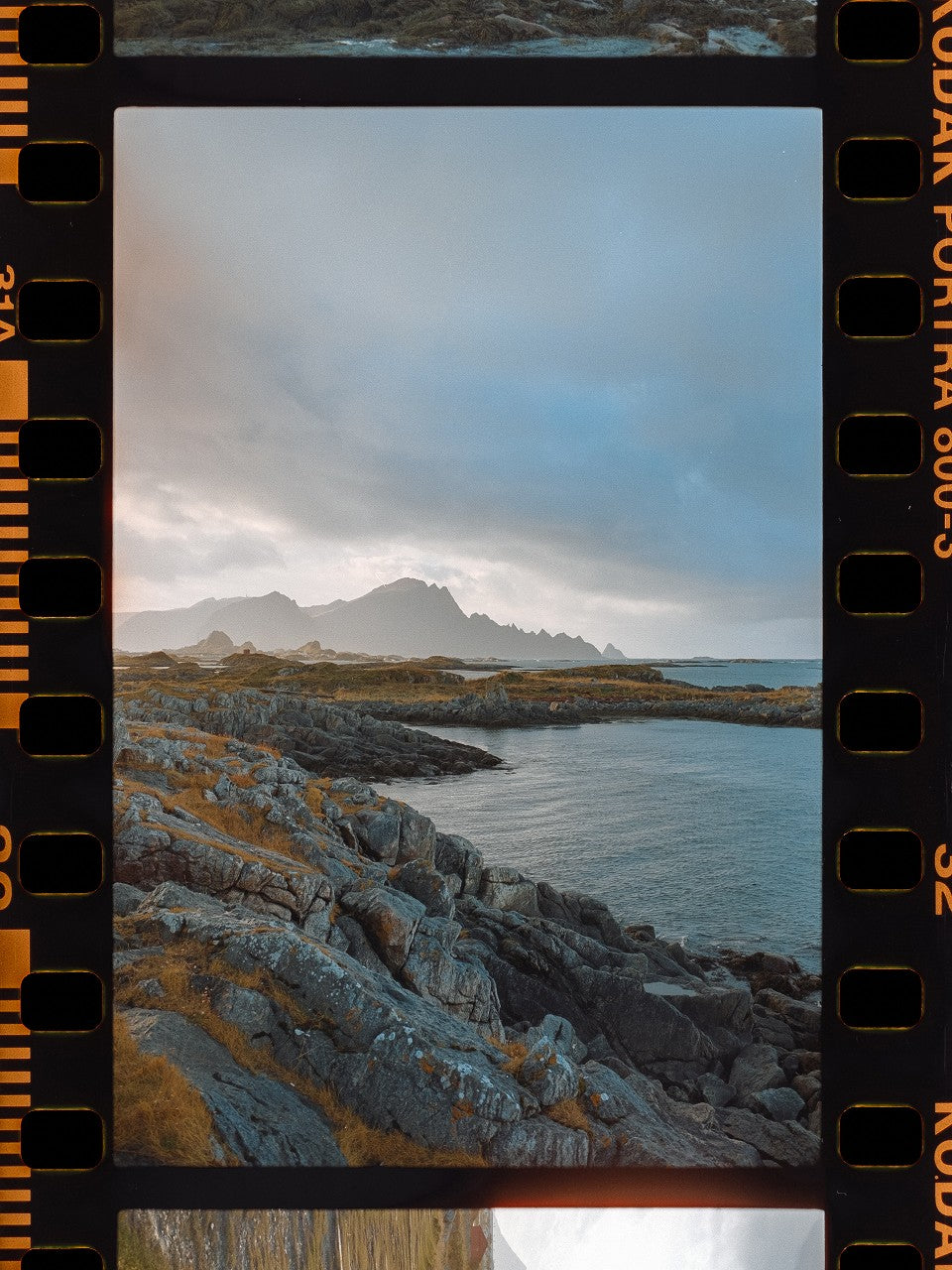 Kodak カラーネガフィルム ポートラ800 120 2本パック