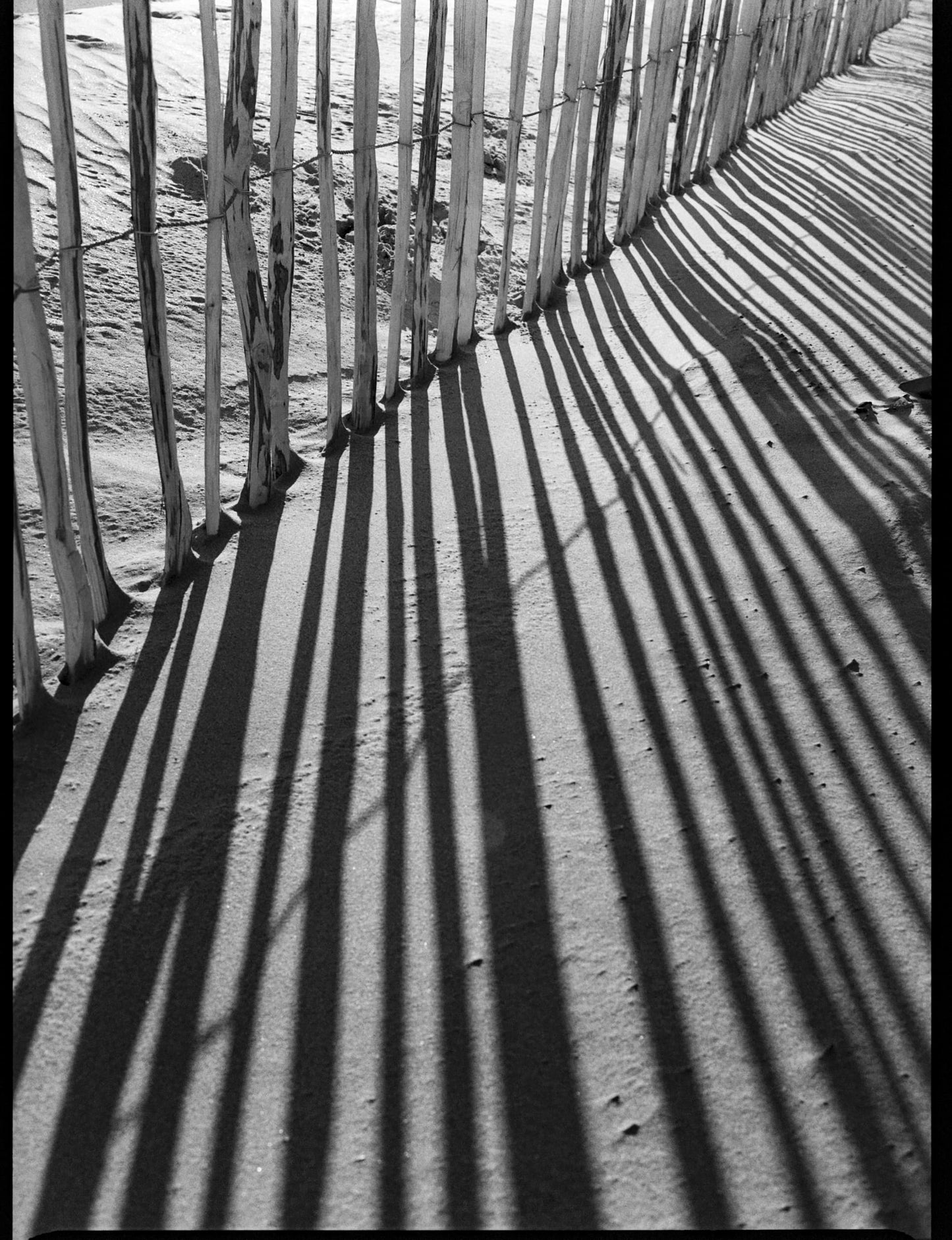 Kodak 白黒ネガフィルム トライ-X400 35mm 36枚撮 8667073