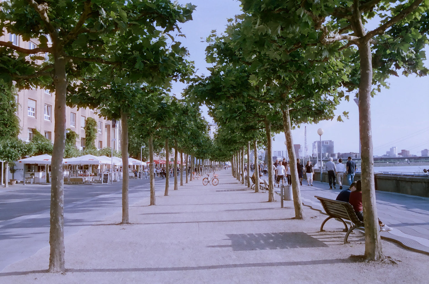 CineStill 50D カラーネガフィルム 35mm 36枚撮り 5本SET