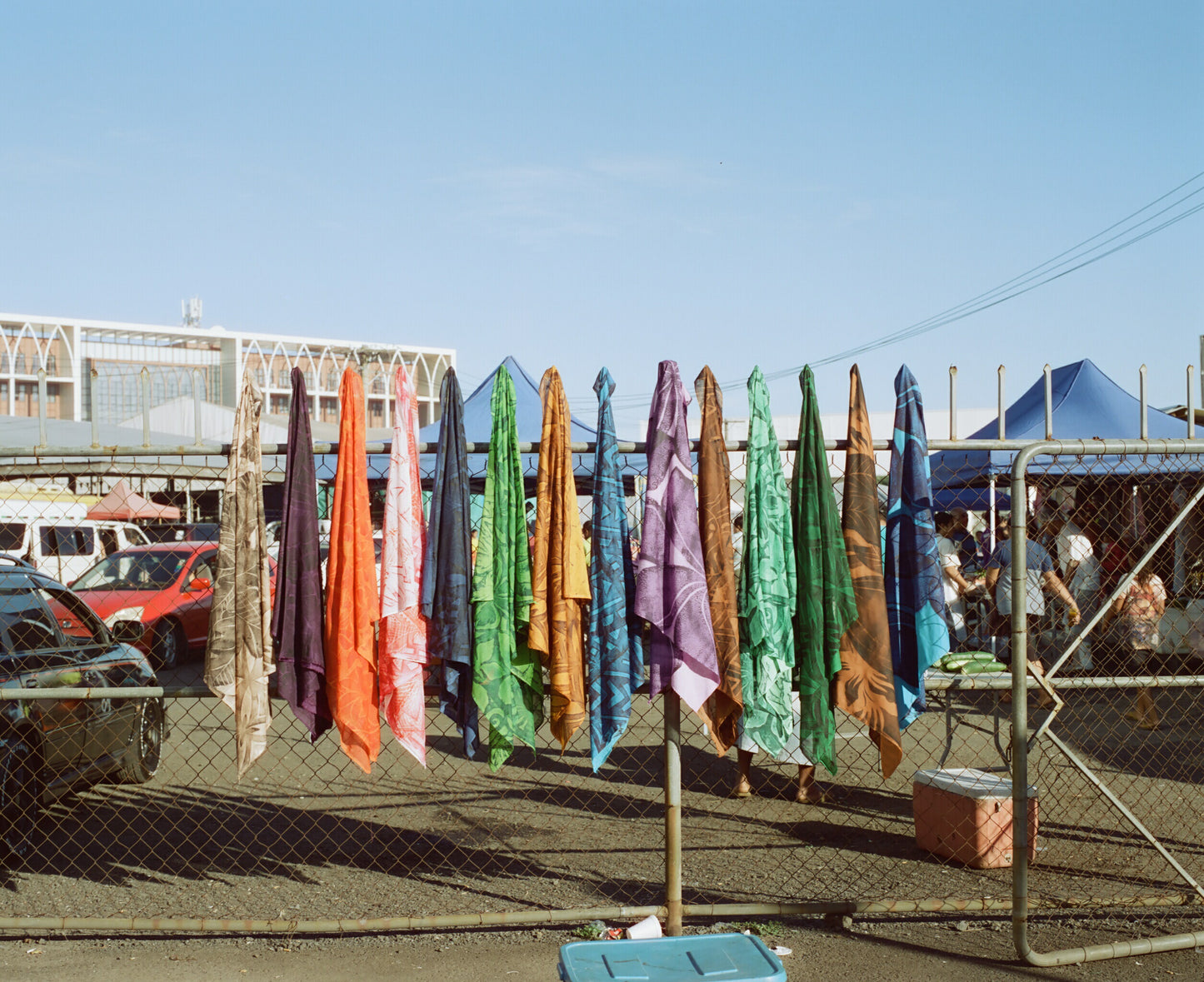 CineStill 50D カラーネガフィルム 35mm 36枚撮り 2本SET