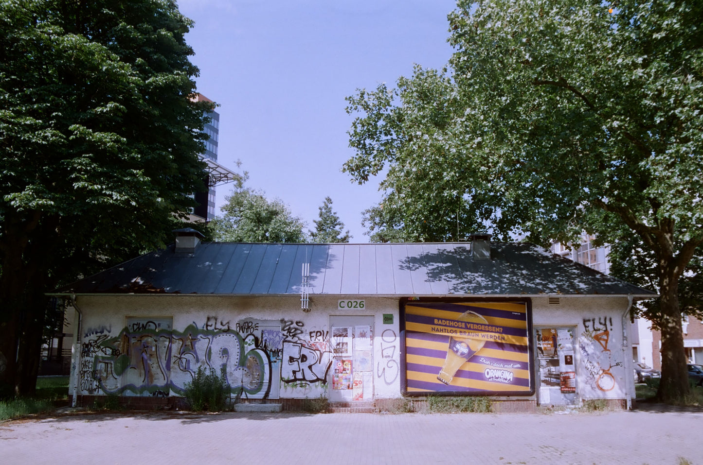 CineStill 50D カラーネガフィルム 120 2本SET