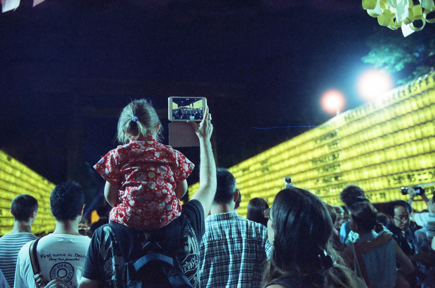 CineStill 800T カラーネガフィルム 120 3本SET