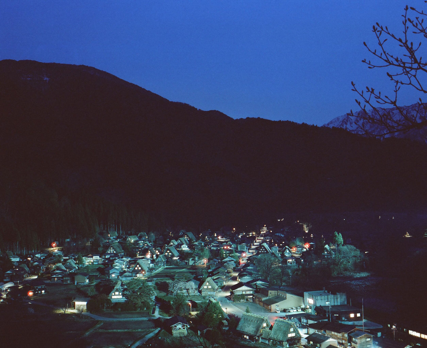 CineStill 800T カラーネガフィルム 120 10本SET