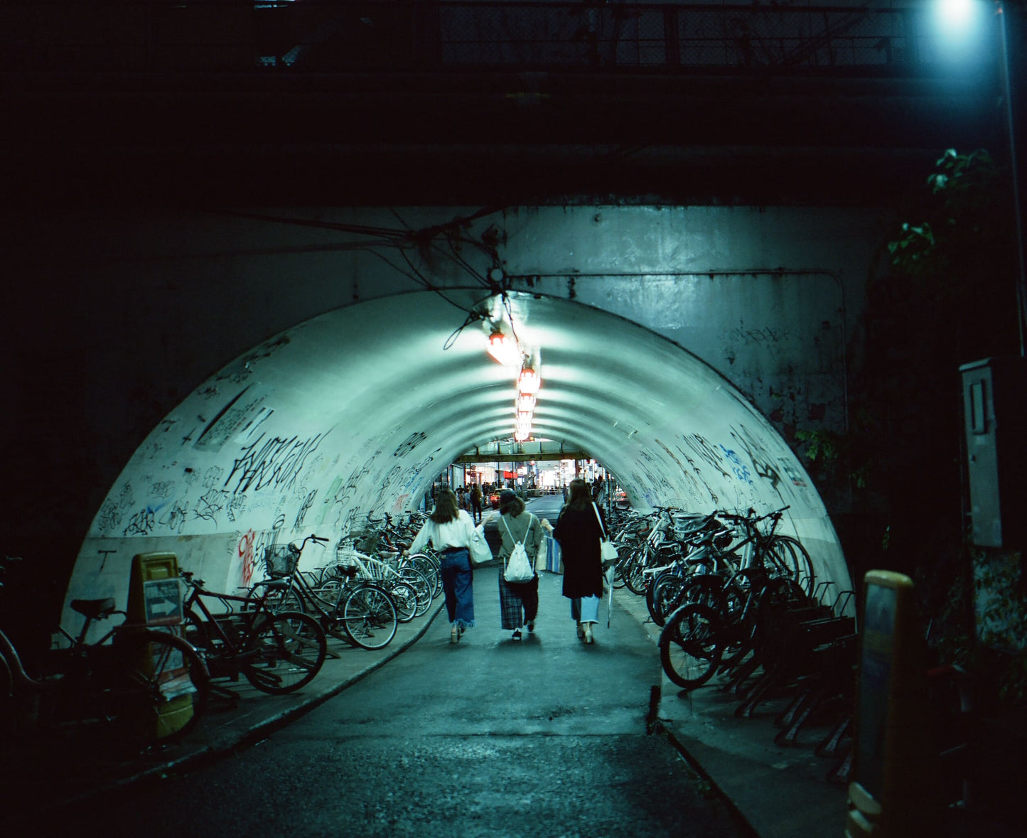 CineStill 800T カラーネガフィルム 120 3本SET