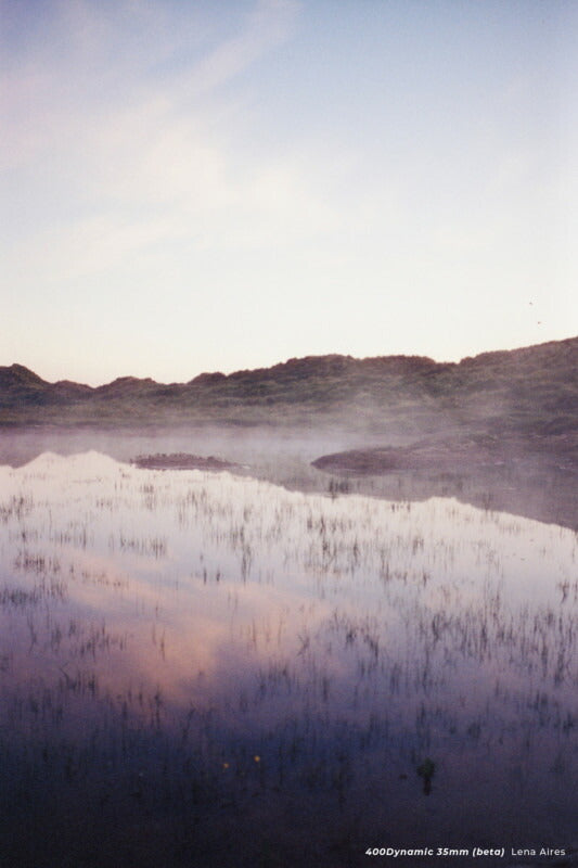 CineStill 400D カラーネガフィルム 35mm 36枚撮り 2本
