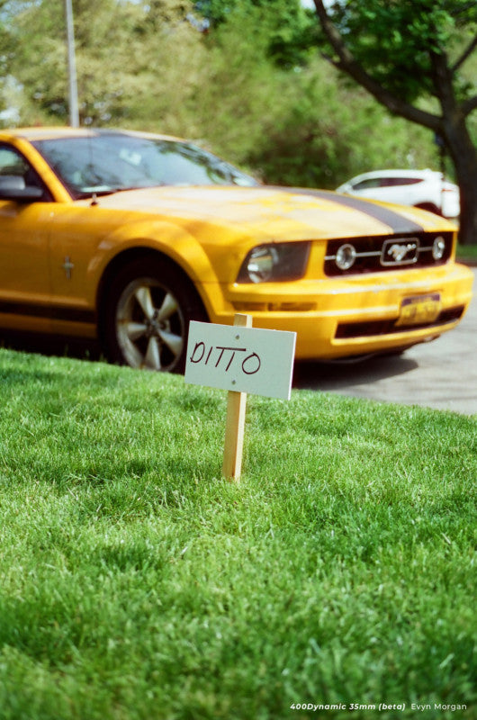 CineStill 400D カラーネガフィルム 35mm 36枚撮り 3本