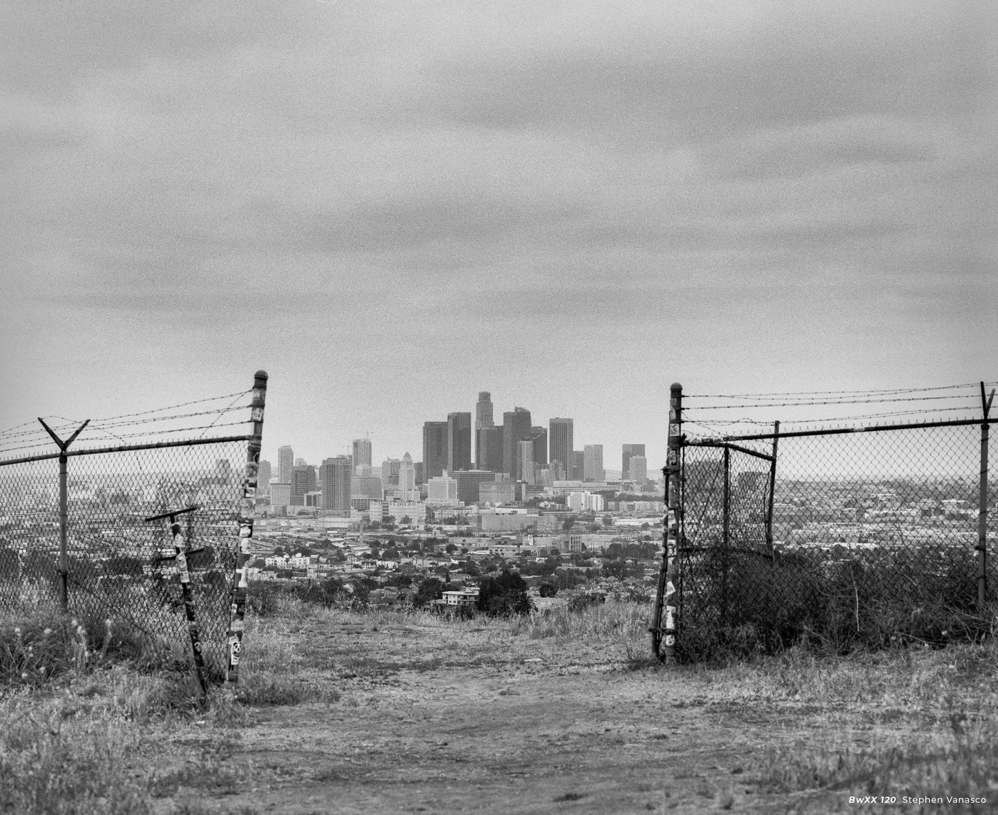 CineStill Black and White ネガフィルム BWXX 35mm 36枚撮