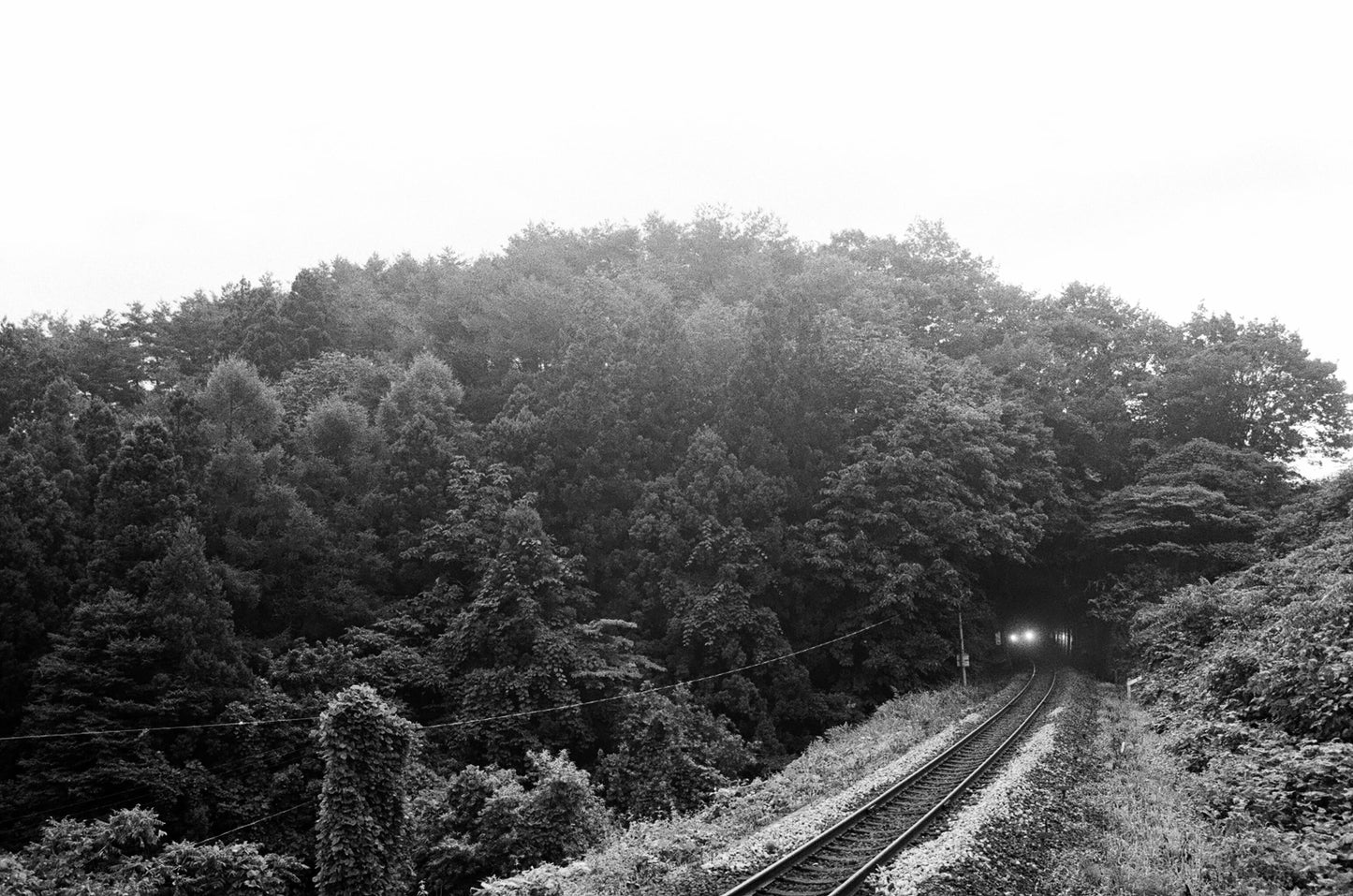 CineStill Black and White ネガフィルム BWXX 35mm 36枚撮(3本パック)