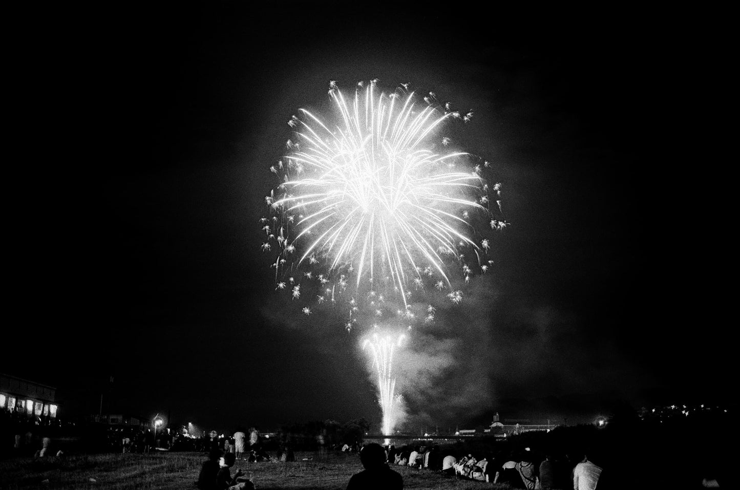 CineStill BWXX(Double-x) 白黒ネガフィルム 120 10本セット
