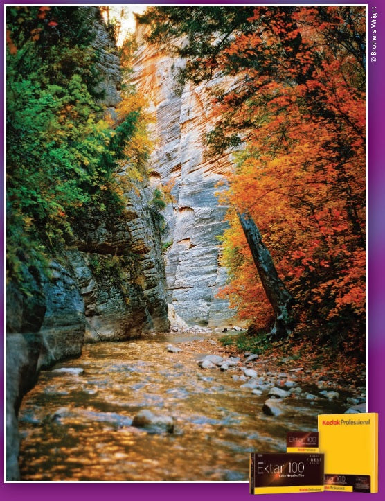 Kodak カラーネガフィルム エクター100 120 5本パック 8314098