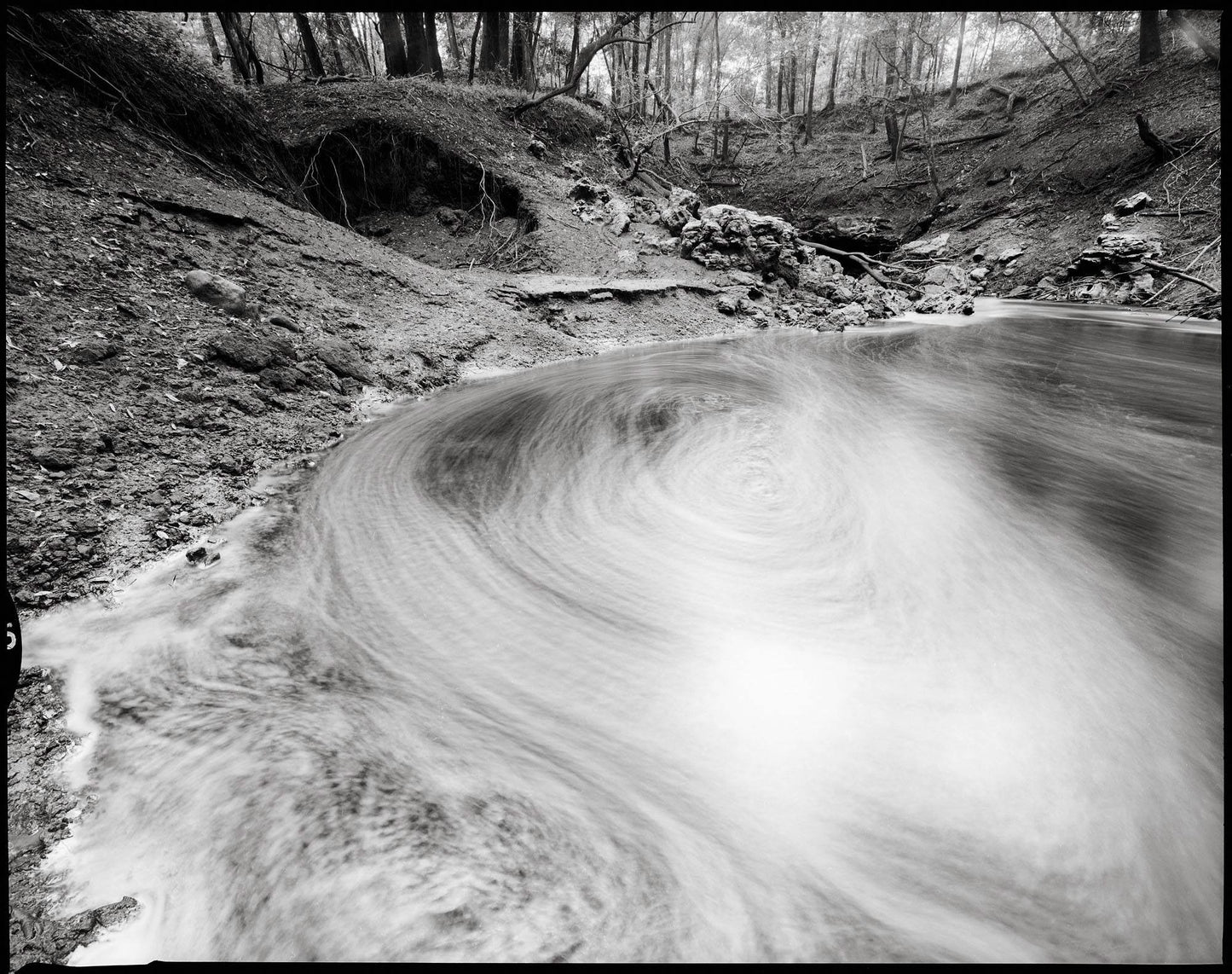 Kodak 白黒ネガフィルム T-MAX100 4x5 10枚 1006873