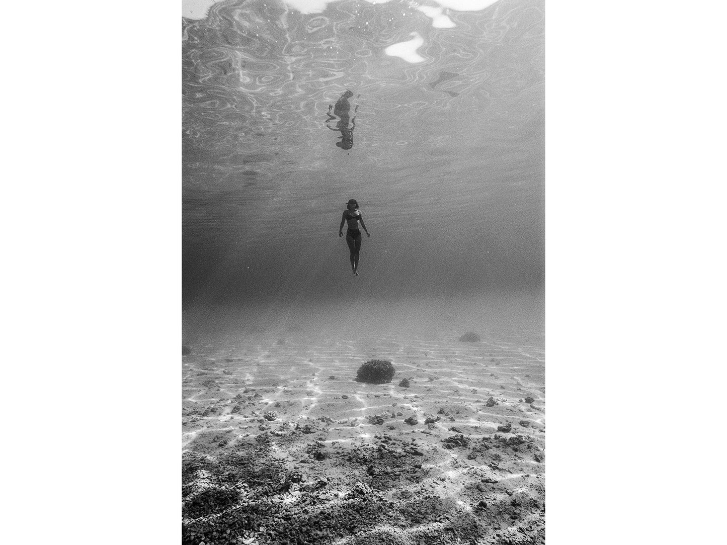 Kodak 白黒ネガフィルム T-MAX100 35mm 36枚撮 3本セット