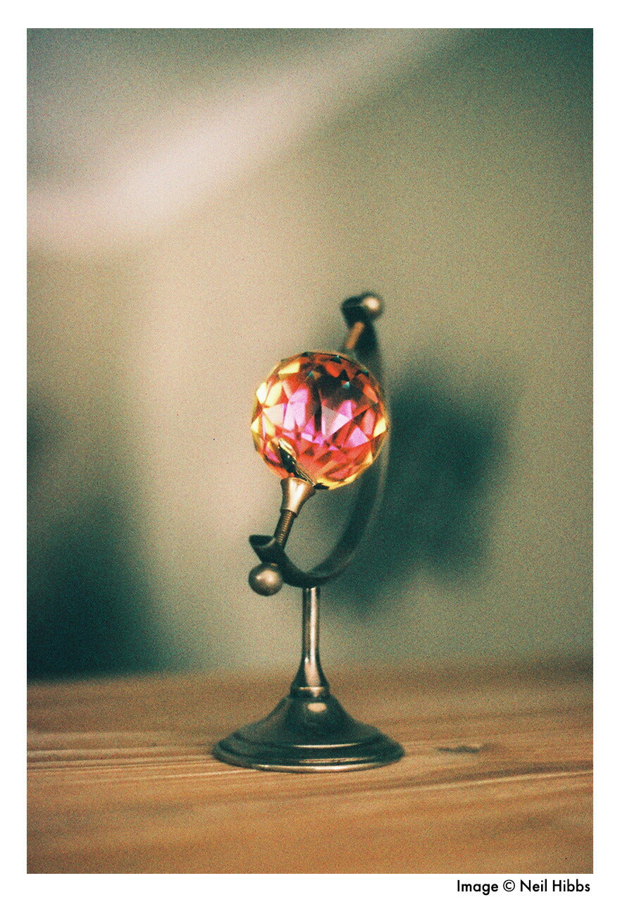 Harman カラーネガフィルム PHOENIX 200 35mm 36枚撮 2本set